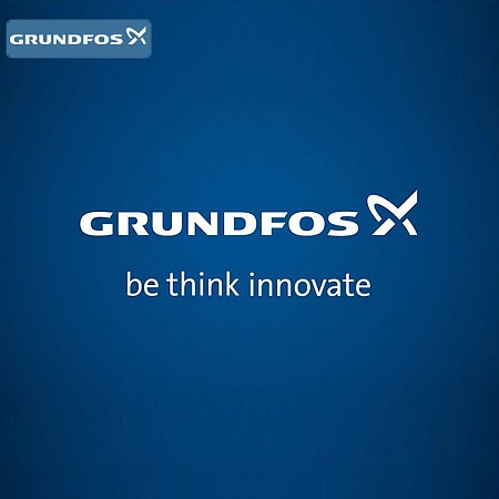    Grundfos DN 300 PN10 ( 96004422)